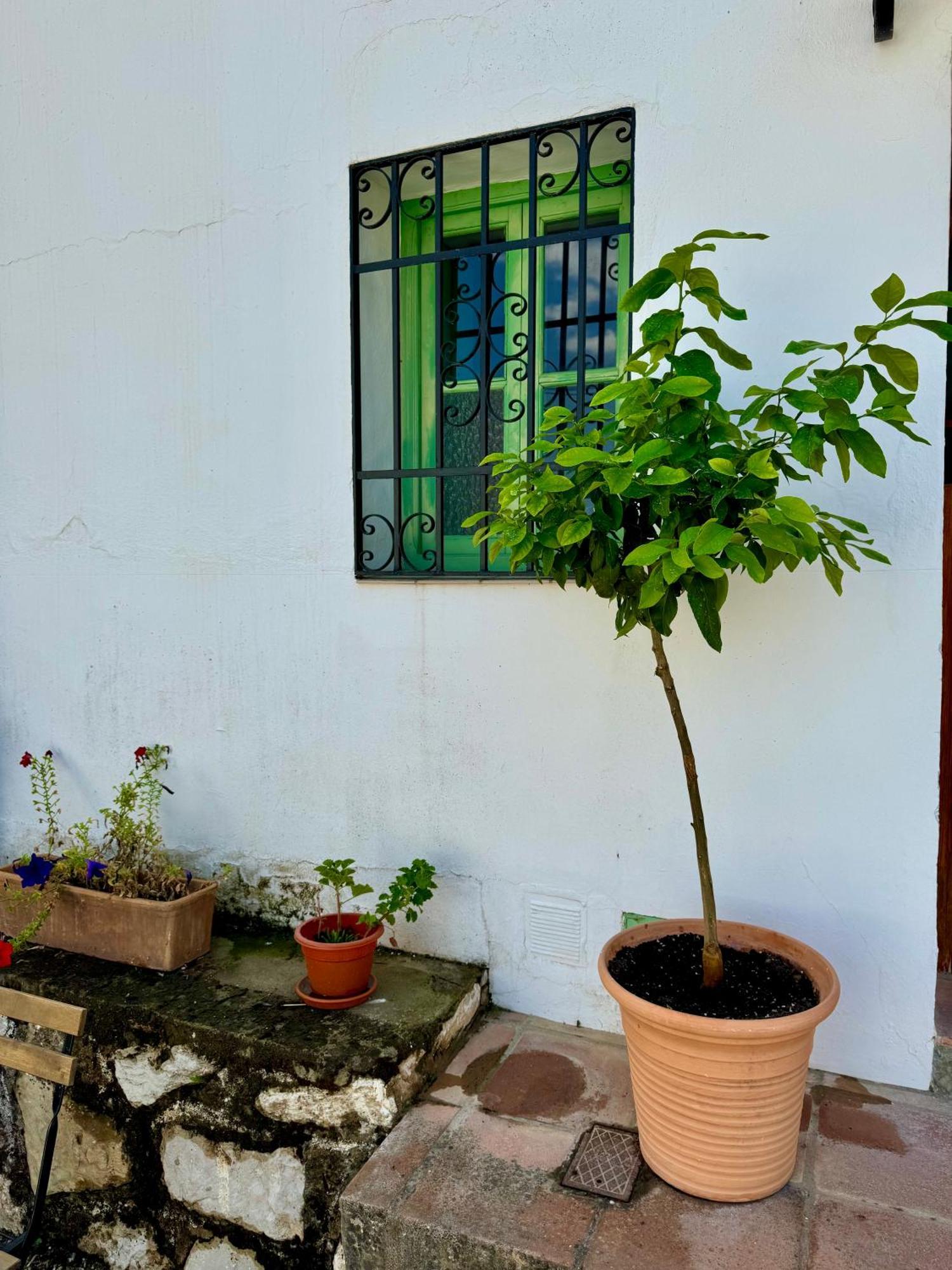 Casa Leon Villa Montejaque Eksteriør bilde